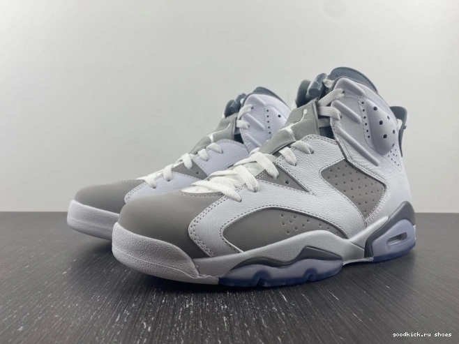 Jordan CT8529-100 6 Air Grey Cool 0725